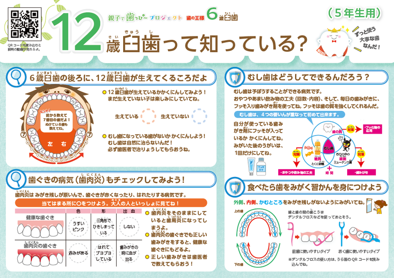 健診 むし歯予防 歯の健康 リーフレット むし歯のでき方と生活習慣リーフレット 100部 6,600円